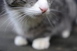 开云体育官网-卡塞米罗，从后腰到主宰者，他如何用数据重塑哥伦比亚的胜利方程式？