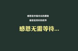 开云APP-格子军魂与东南亚旋风，格列兹曼导演A组生死战，克罗地亚三球完胜越南
