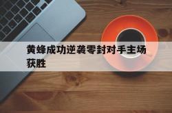 开云APP-关于黄蜂成功逆袭零封对手主场获胜的信息