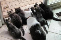 开云体育-托尼高能撕裂沉默，曼城铁幕封锁沙特足球幻梦