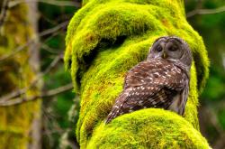 开云体育-铜墙铁壁，劳塔罗如何用防守艺术锁死新西兰的攻势