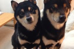 开云体育中国-莫德里奇谢幕之舞，终场绝杀埃及，传奇为美洲大陆定格永恒