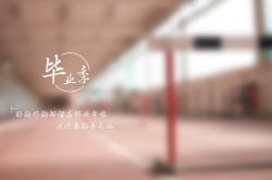 开云APP-从硬木地板到F1赛道，贝恩如何在爵士速胜热火之夜上演速度与统治