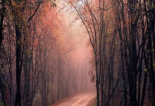 开云体育登录-红牛车队轻取威廉姆斯，勒克莱尔点燃赛场