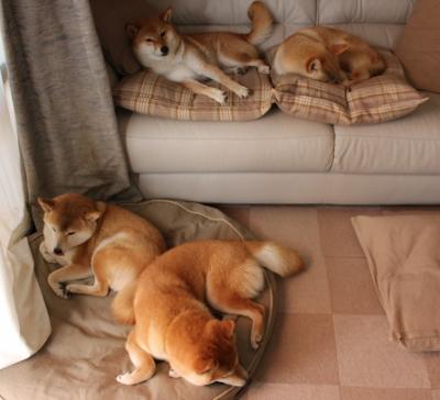 逆转夜！武切维奇关键表现引爆胜利，快船惊险击败山西队