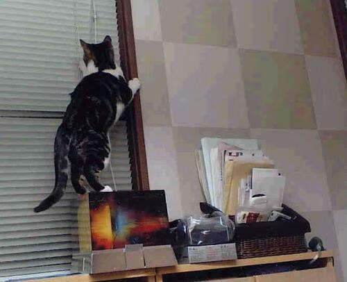 传承与刀锋,毕尔巴鄂的绝唱与拉什福德的狂舞