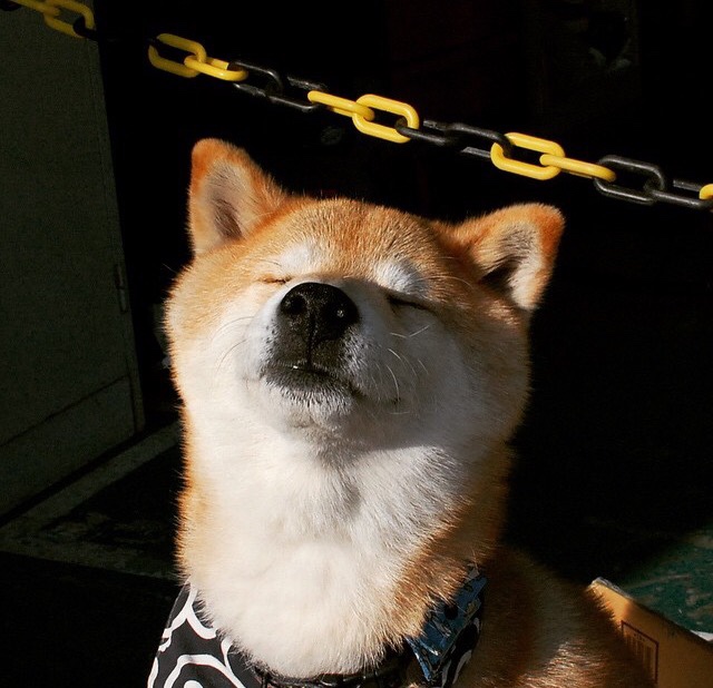 绿白奇迹，爱尔兰掀翻夺冠热门那不勒斯