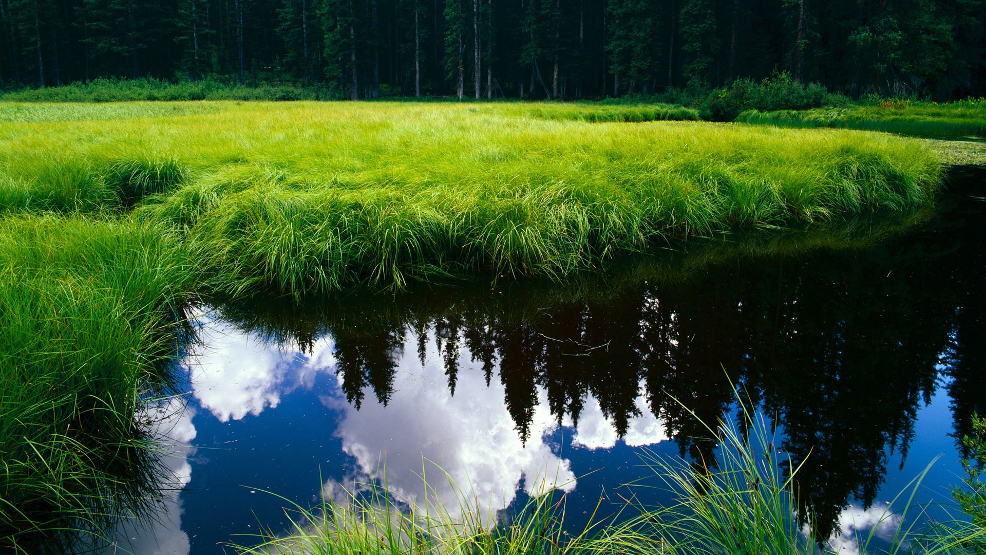 火力全开!尼斯全面压制,哈弗茨关键回合一锤定音