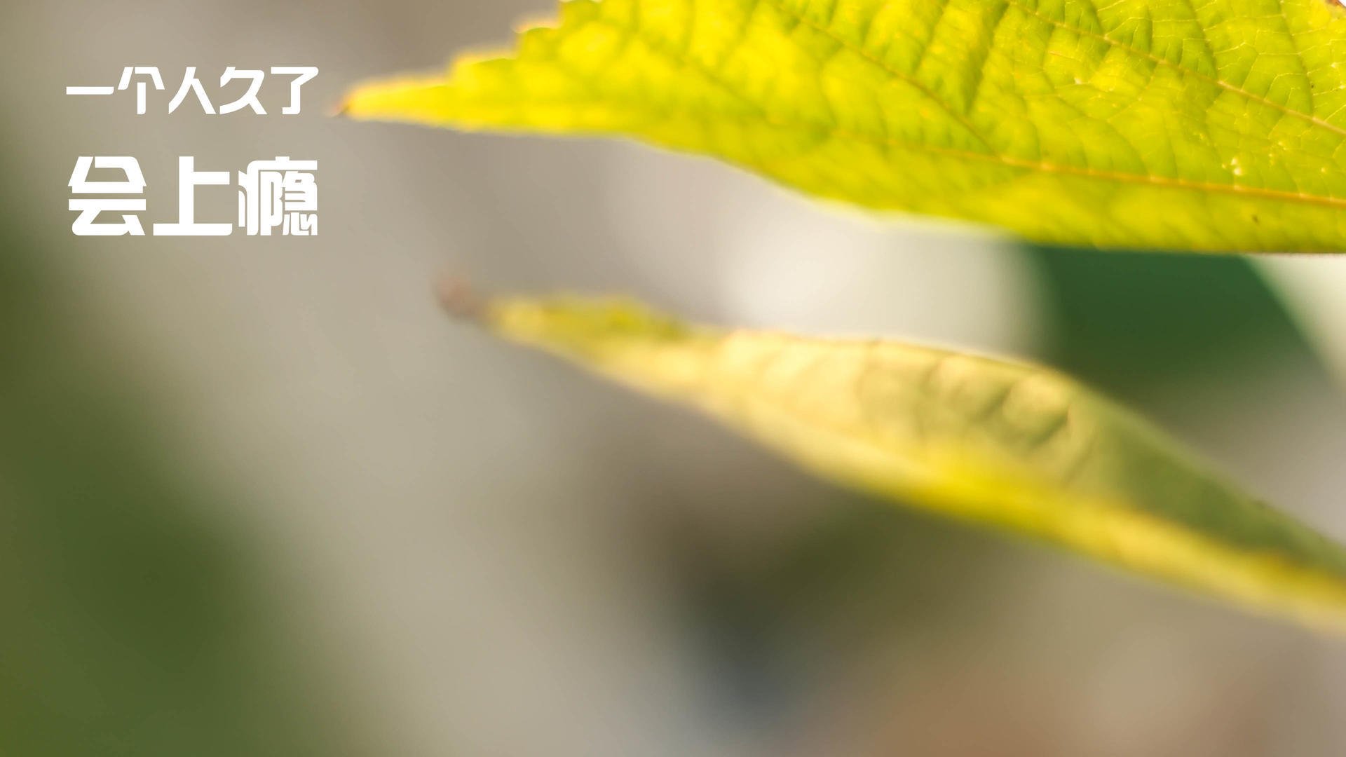 欧冠决赛焦点战启示录，日本单节拉开冰岛的体育哲学