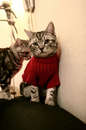 慈善巅峰战,国米点胜尼日利亚明星联队,莱万喧宾夺主演绎另类征服