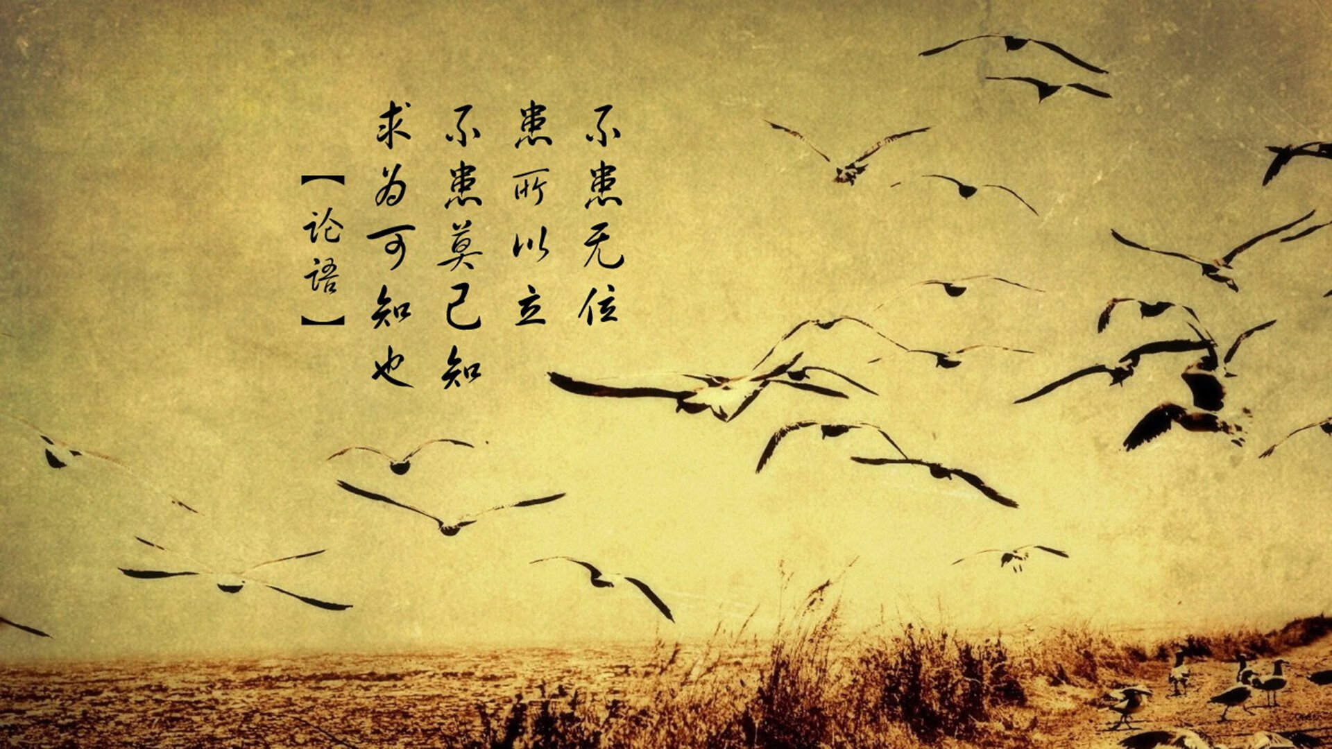 拉梅洛·鲍尔终场制胜！鹈鹕惊险逆转爵士，诞生新一代关键先生