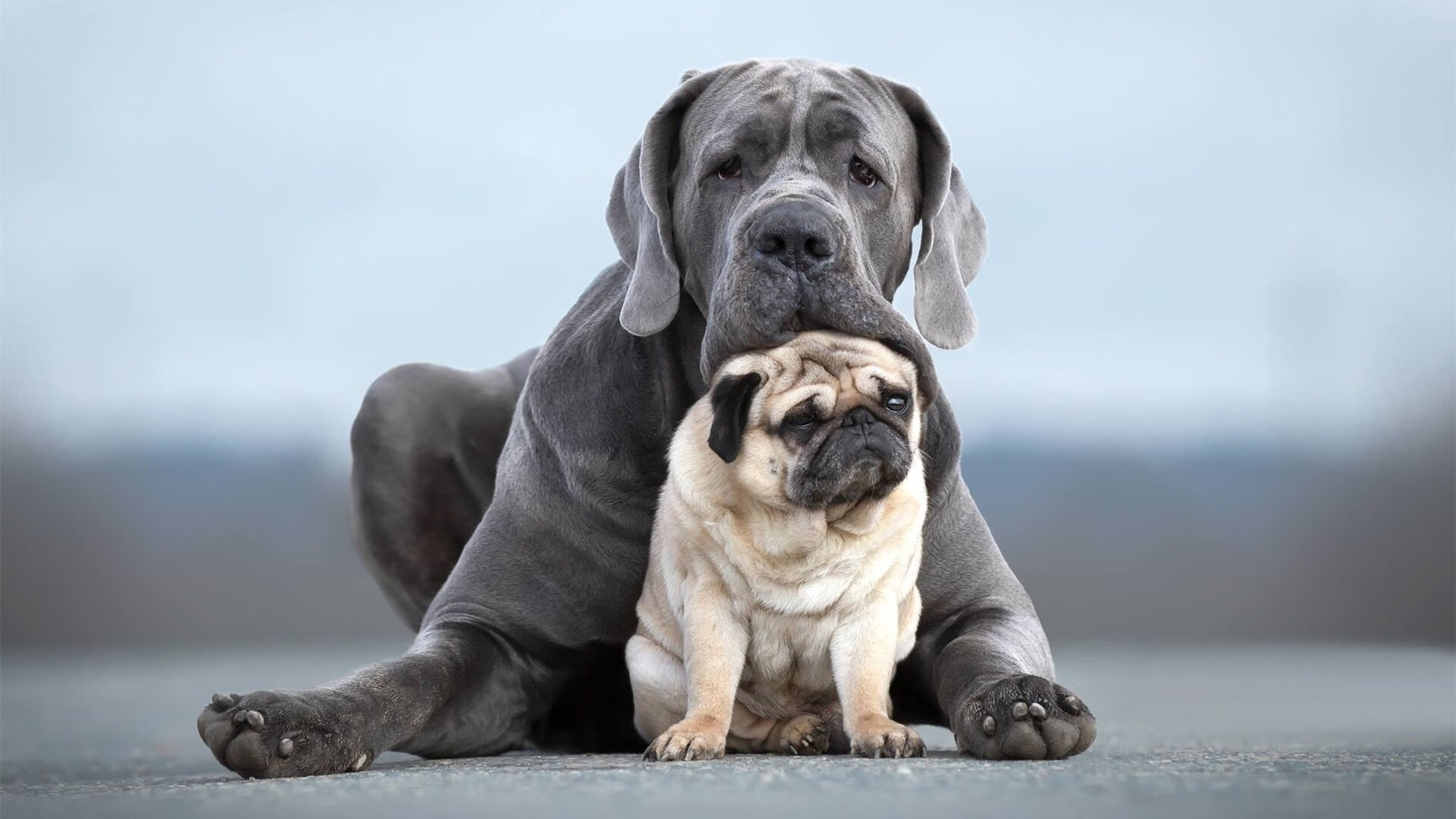 双线叙事,快船压哨惊魂与2026世界杯的班凯罗预言