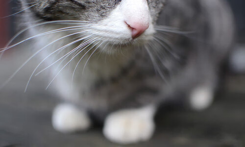 卡塞米罗,从后腰到主宰者,他如何用数据重塑哥伦比亚的胜利方程式?