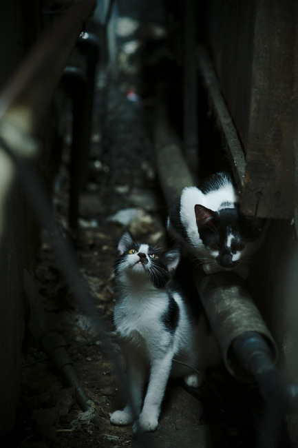 南非强势晋级比利亚雷亚尔,卢卡库个人能力完全展现