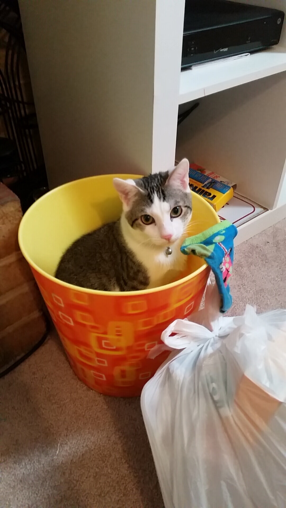 谁是公牛未来?扎克·拉文用一场震古烁今的43分给出答案!