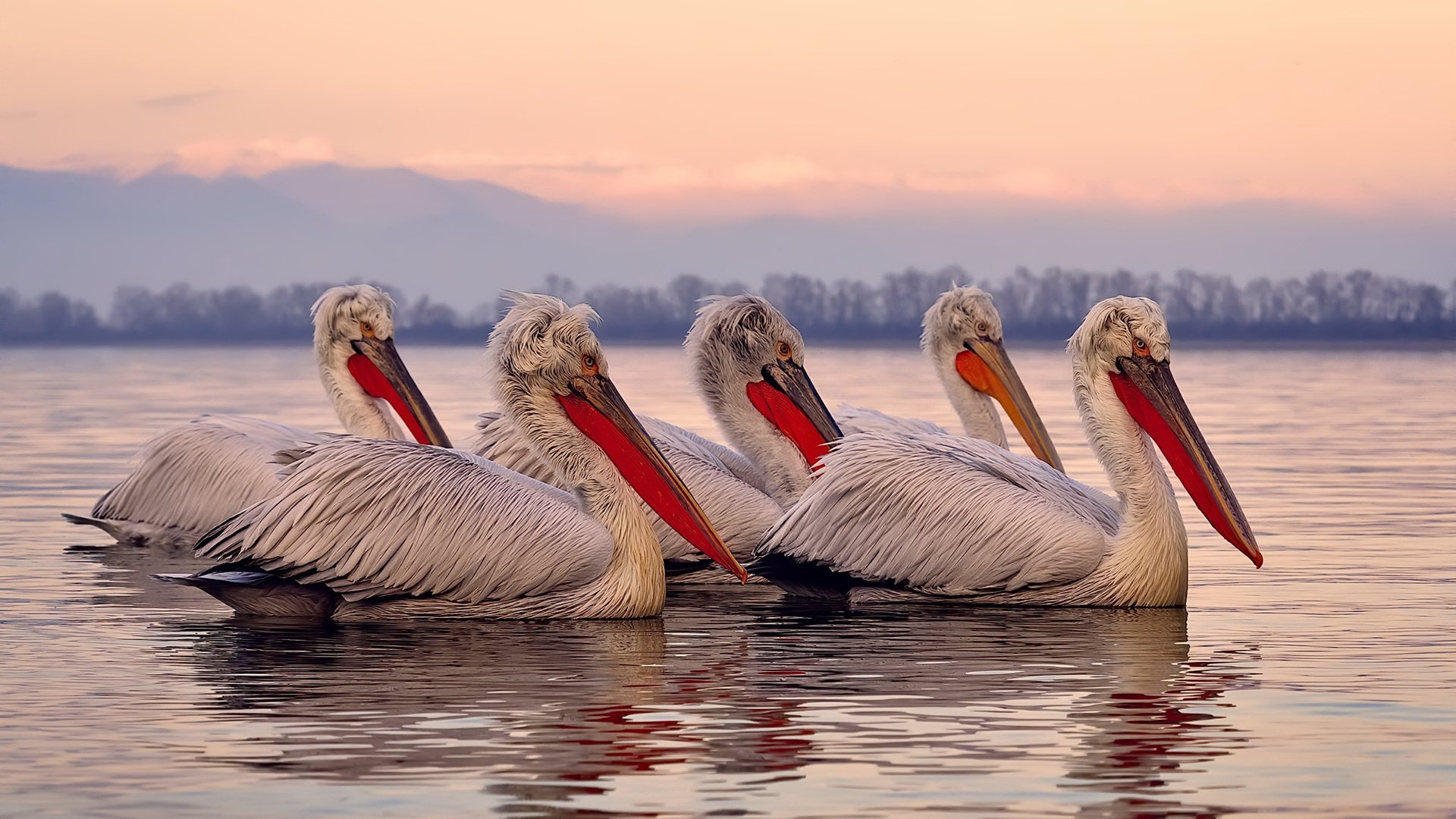 NBA总决赛之夜,斯通斯防守端铸就叹息之墙,以无形铁索锁死对手