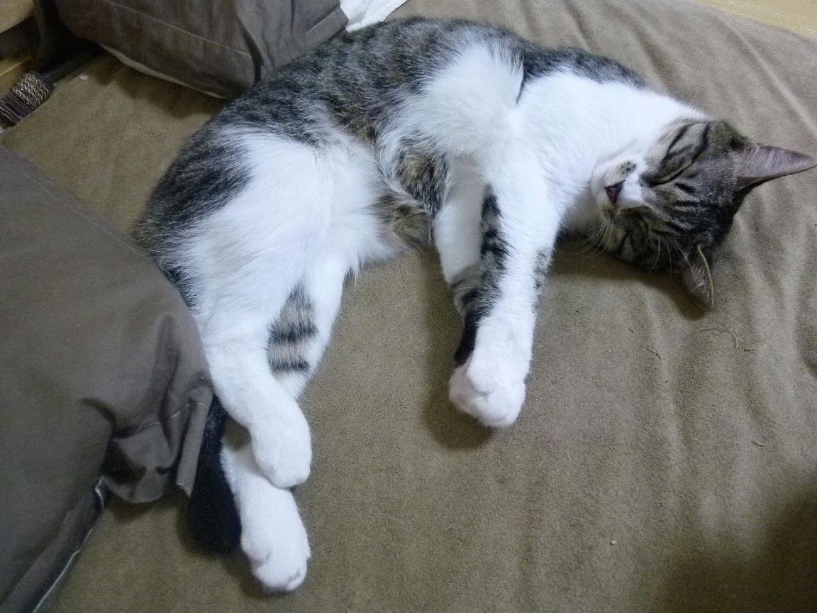 一剑封喉，福登的灵光一闪，定格墨西哥与西班牙的世纪对决