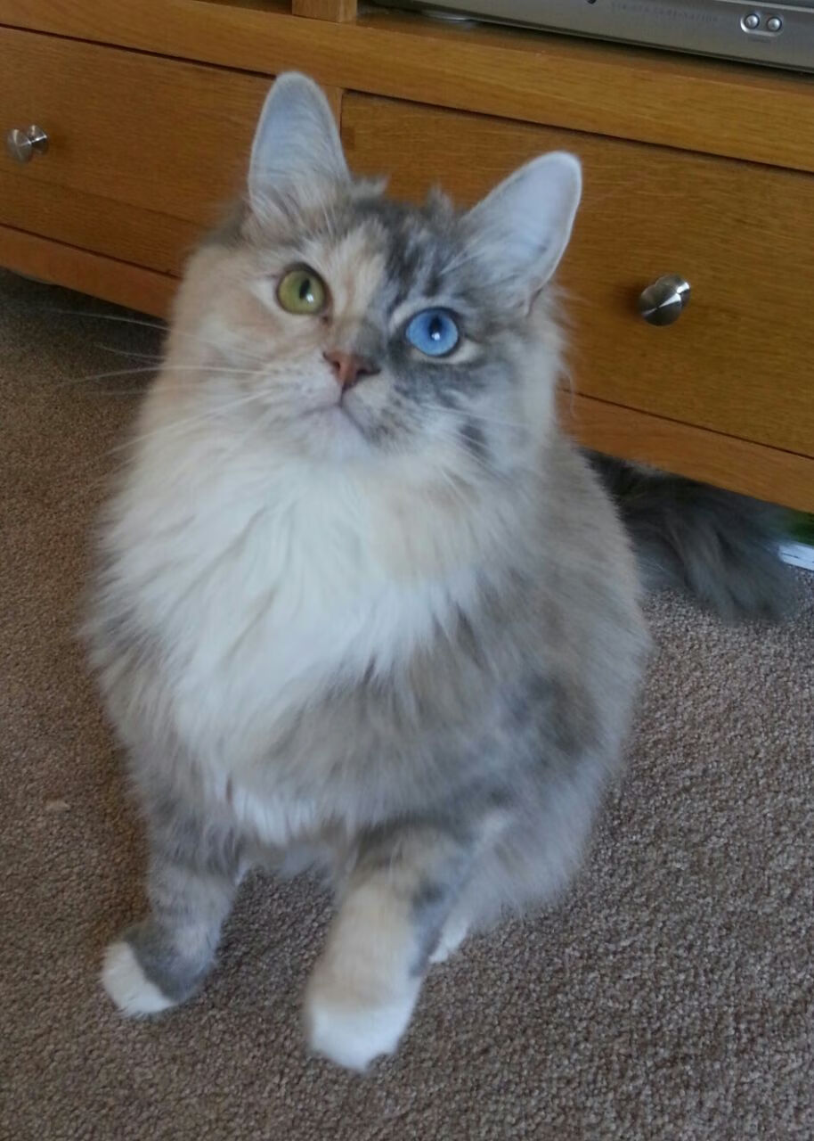 时空错位夜,当英超争冠夜直播马竞横扫巴拉圭