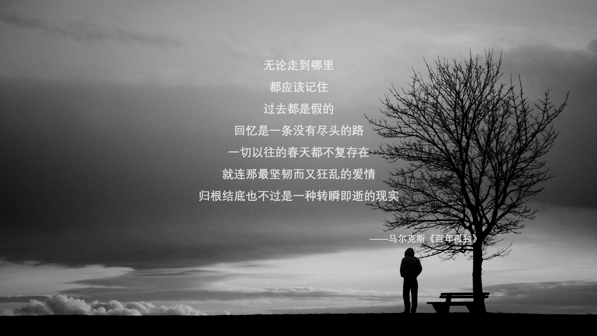 爵士节奏之刀切开浙江防线，莫兰特攻防一体上演王者归来